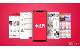 揭秘创业成功秘诀，简单实用的创业方法教程视频