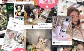 江苏省大学生创新创业训练计划平台的重要性与实施