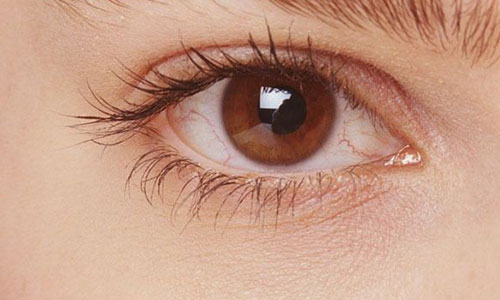 深入解析个体与自由职业者的区别 深入解析个体与自由职业者的区别